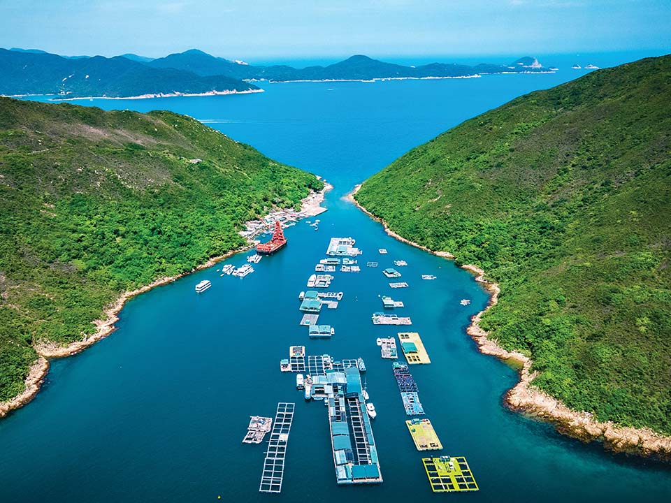 Kau Sai Chau: discover fishing hamlet that time forgot and sheltered floating farm where marine life abounds