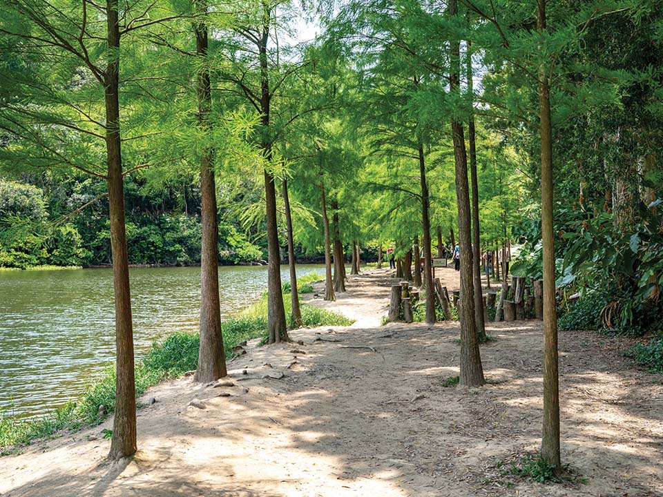 Photospot at Lau Shui Heung Reservoir