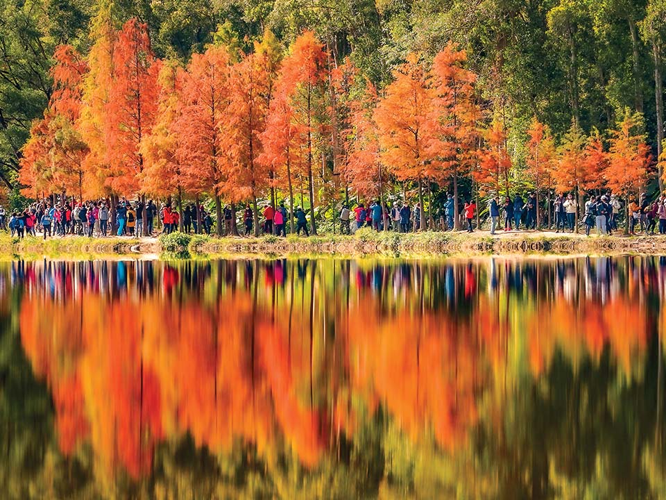 Red leaves at Lau Shui Heung Reservoir